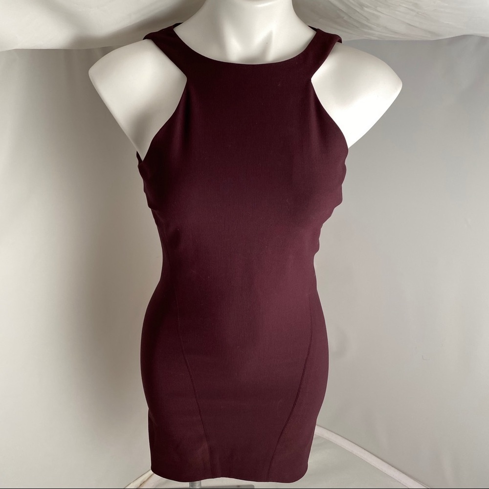 Elizabeth and James Damon dress in Raisin 4